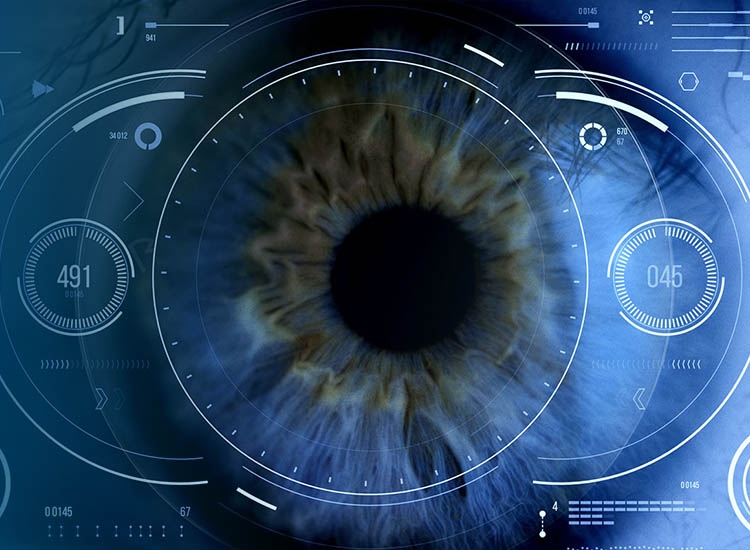 Biometria ochiului — tehnologia B.I.G. Vision